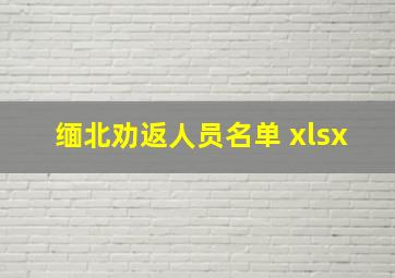 缅北劝返人员名单 xlsx